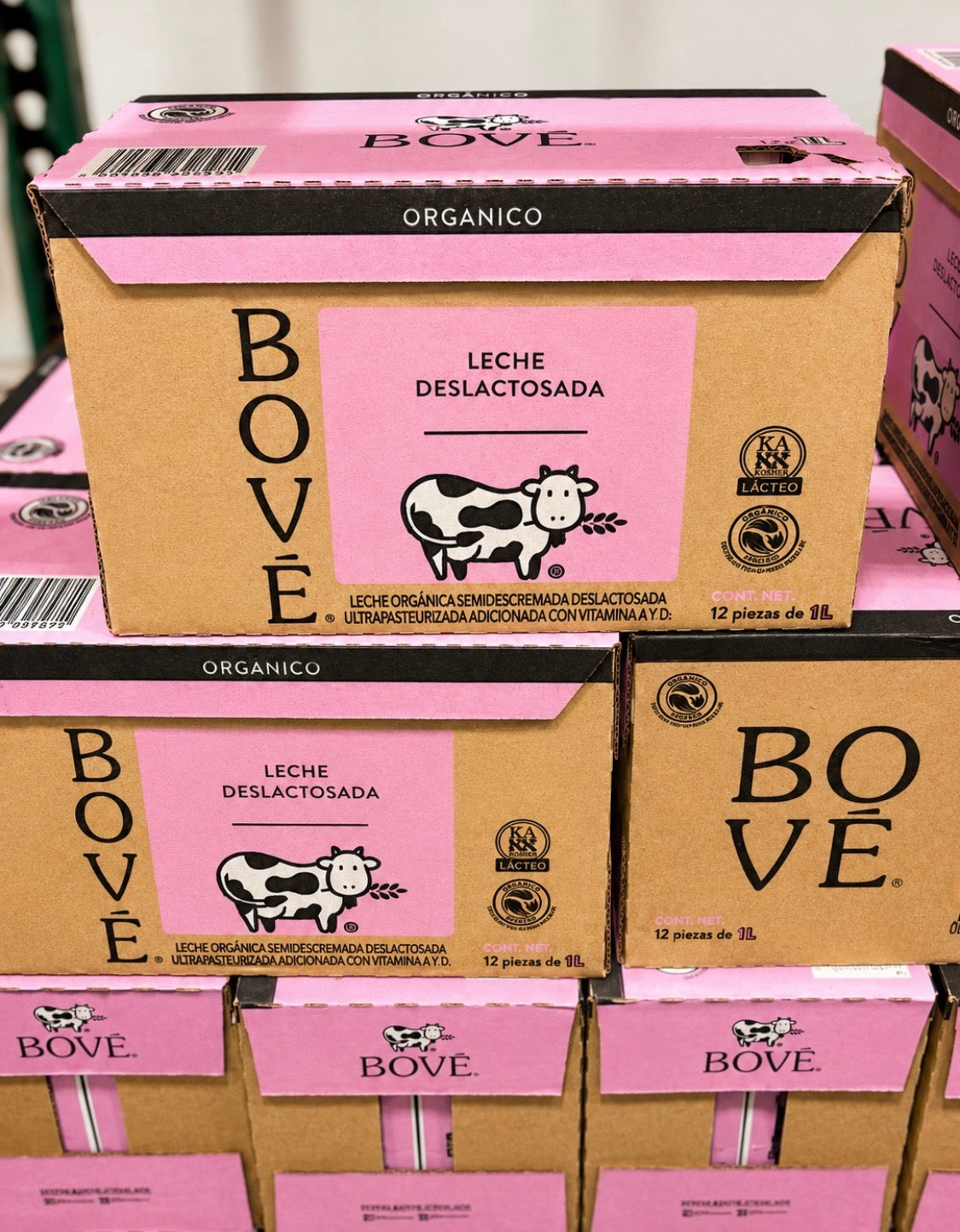 🥛 Leche Orgánica Deslactosada Bové – 12 × 1 L